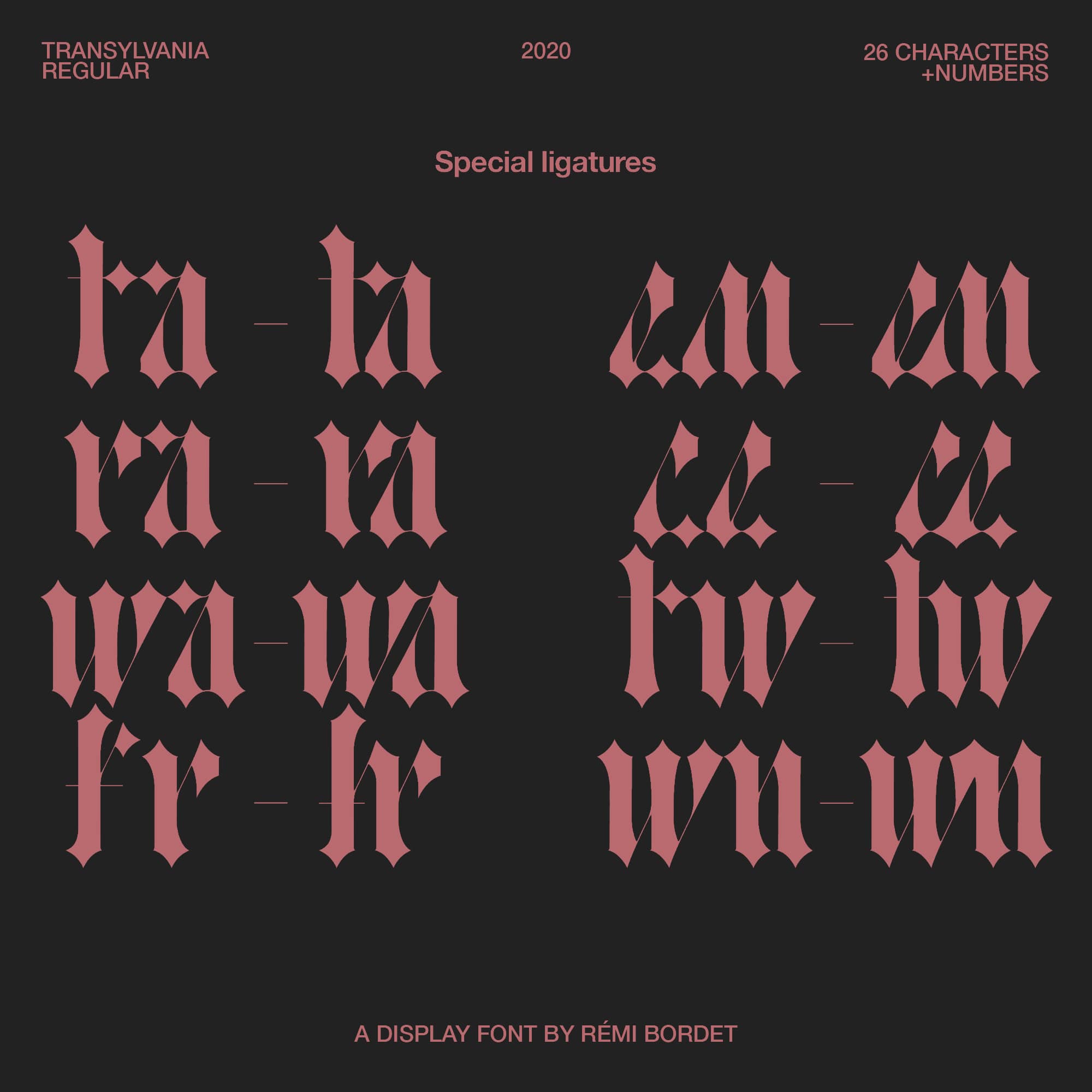 Transylvania Display Font | Remi Bordet | Download | Studio Innate